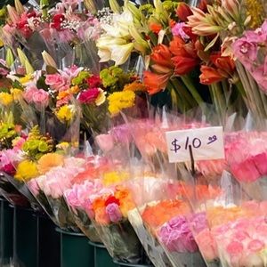 Meet your Posher, Mila